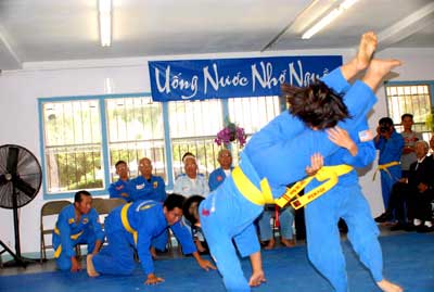 vovinam 2