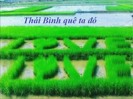 mh-17-thai-binh