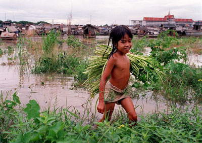 ngviet bienho 2