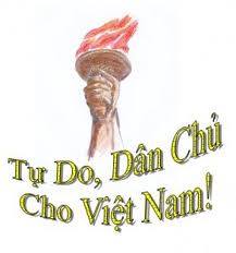 mh-dân-chu-cho-VN